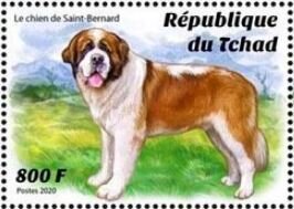 Stamp, The Saint Bernard Dog, Chad,  , Animals (Fauna), Dogs, Mammals