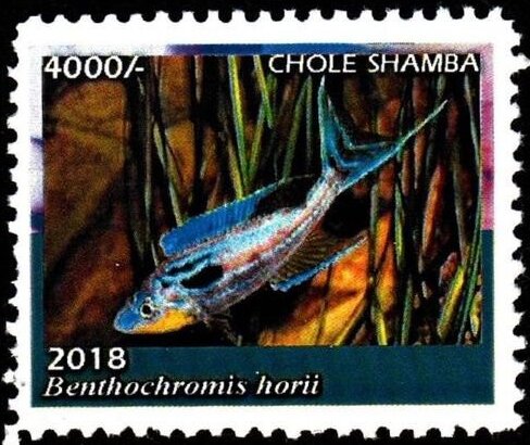Benthochromis horii