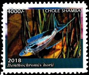 Stamp, Benthochromis horii, Cinderellas,  , Animals (Fauna), Fishes, Sea Life