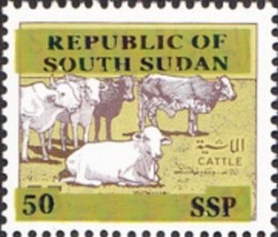 Cattle (Bos primigenius indicus) Herd
