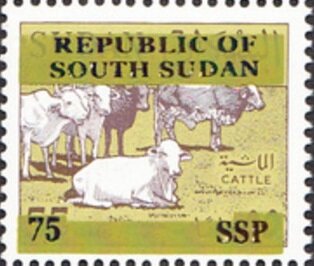 Cattle (Bos primigenius indicus) Herd