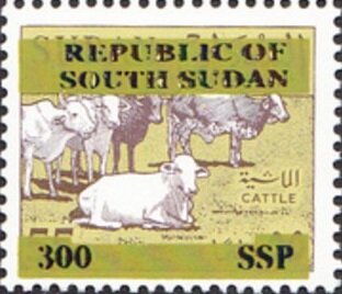 Cattle (Bos primigenius indicus) Herd