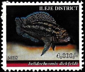 Stamp, Julidochromis dickfeldi, Cinderellas,  , Animals (Fauna), Fishes, Sea Life