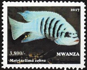 Stamp, Metriaclima zebra, Cinderellas,  , Animals (Fauna), Fishes, Sea Life