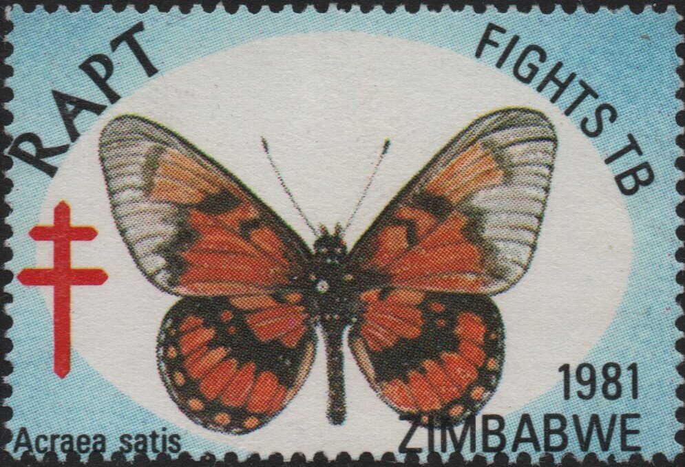 RAPT Butterflies, Acraea satis