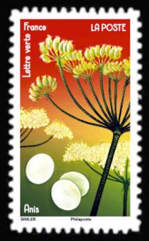 Anise Flower and Anise Candies