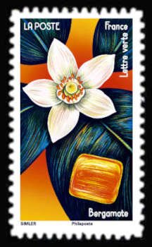 Bergamot Flower and Candy