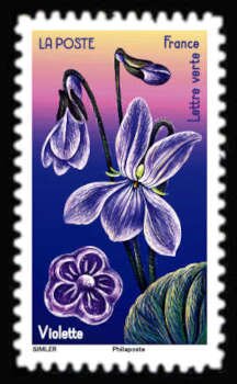 Violet Flower and Violet Candy