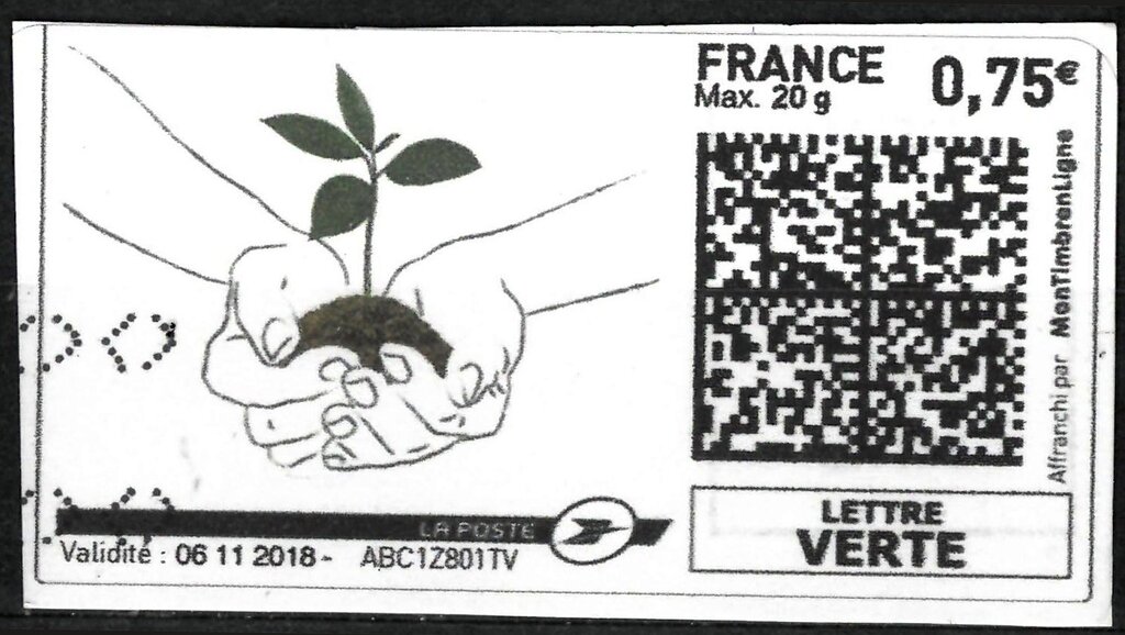 Hands Holding a Sapling