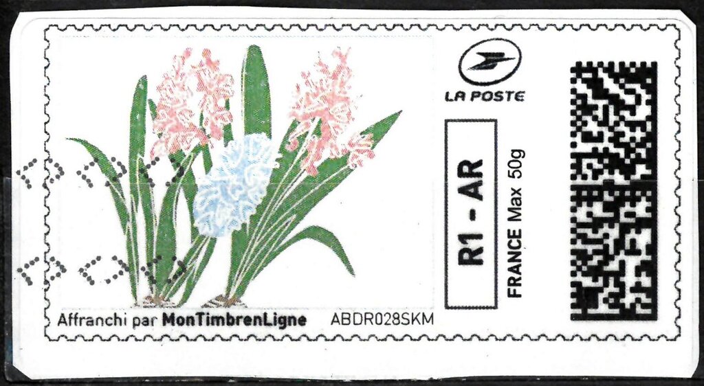 Spring. Pink and Blue Hyacinths