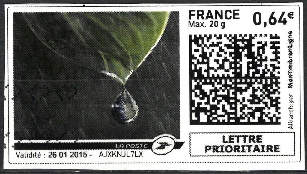 Water droplet falling from a leaf in the rain