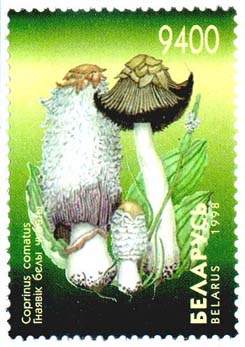 Stamp, Stamp Mushrooms - Coprinus comatus, Belarus,  