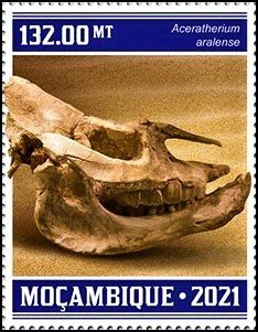 Aceratherium aralense
