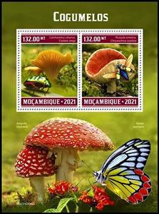 Souvenir Sheet, Cantharellus cibarius/Russula emetica, Mozambique,  , Mushrooms, Plants (Flora)