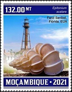 Stamp, Epitonium scalare, Mozambique,  , Lighthouses, Shells