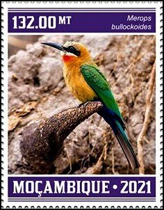 Merops bullockoides