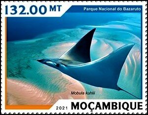 Stamp, Mobula kuhlii, Mozambique,  , Animals (Fauna), National Parks