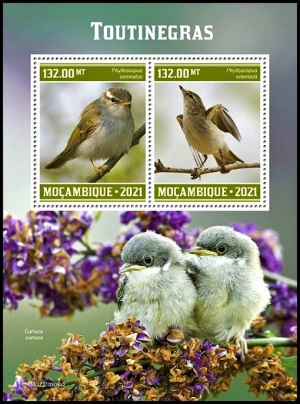 Phylloscopus coronatus/Phylloscopus orientalis