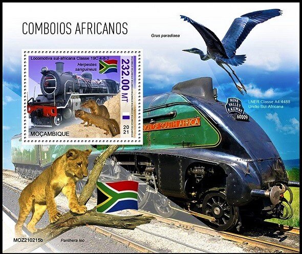 South African Locomotive Class 19C 4-8-2