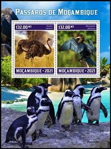 Souvenir Sheet, Struthio camelus/Microcarbo africanus, Mozambique,  , Birds