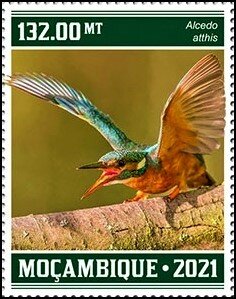 Stamp, The Kingfisher (Alcedo atthis), Mozambique,  , Birds, Kingfishers