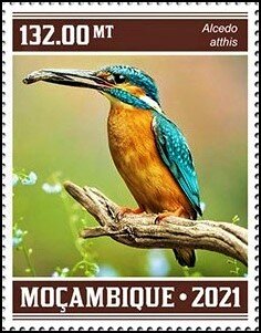 Stamp, The Kingfisher (Alcedo atthis), Mozambique,  , Birds, Kingfishers