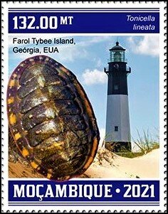 Stamp, Tonicella lineata, Mozambique,  , Lighthouses, Shells