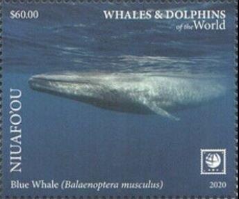 Stamp, Blue Whale (Balaenoptera musculus), Niuafo'ou,  , Animals (Fauna), Sea (Marine) Mammals, Sea Life, Whales