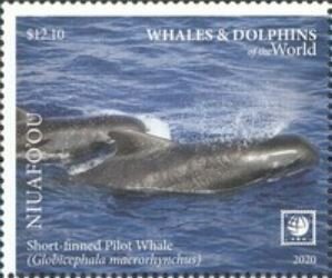 Stamp, Short-finned Pilot Whale (Globicephala macrorhynchus), Niuafo'ou,  , Animals (Fauna), Sea (Marine) Mammals, Sea Life, Whales