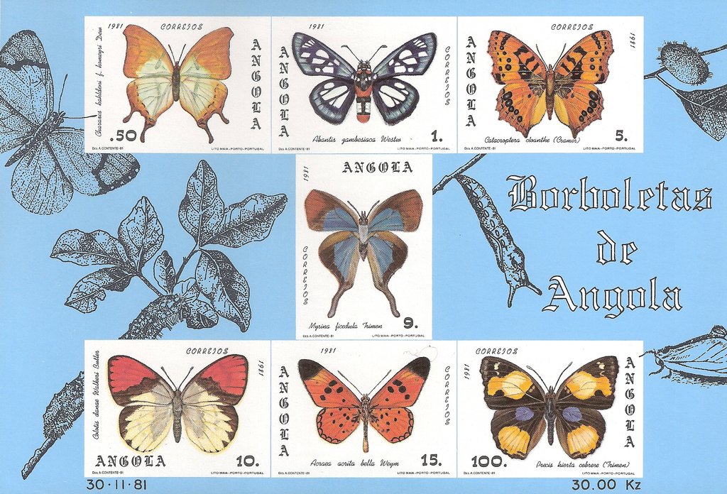 Butterflies of Angola - Group 1