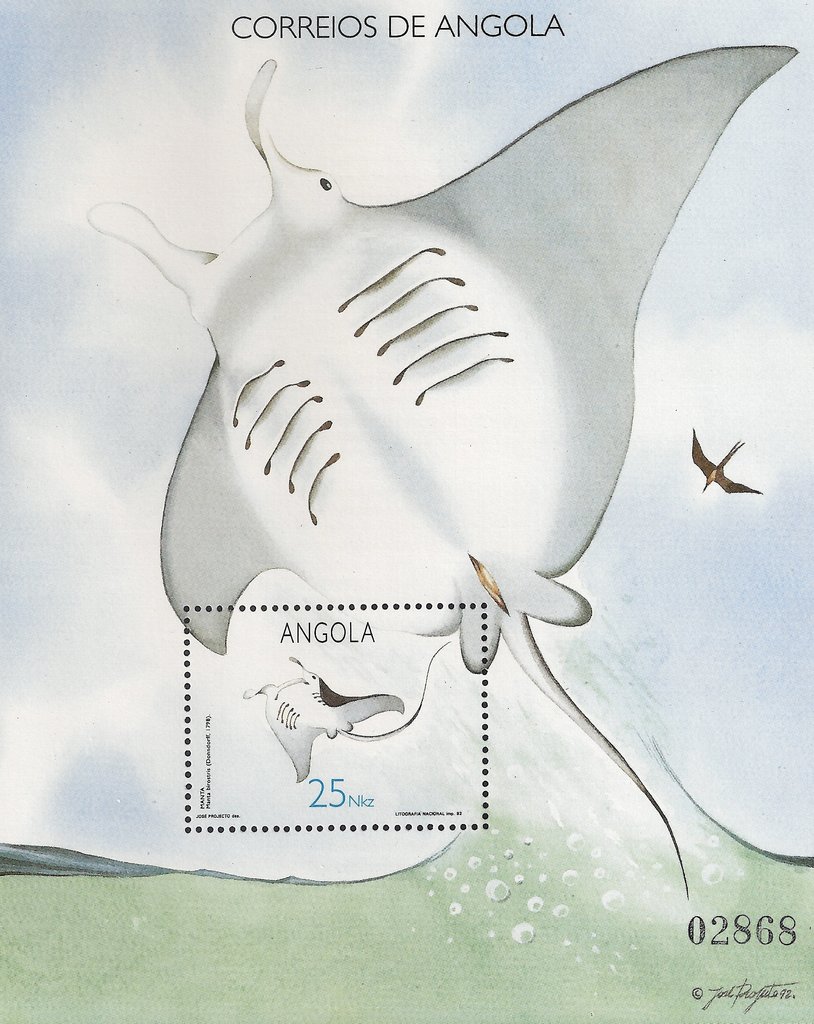Manta Ray (Manta birostris) 