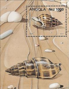 Souvenir Sheet, Sea Snail (Pusionella nifat), Angola,  , Shells