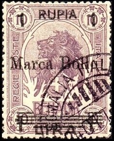 Lion (Panthera leo)