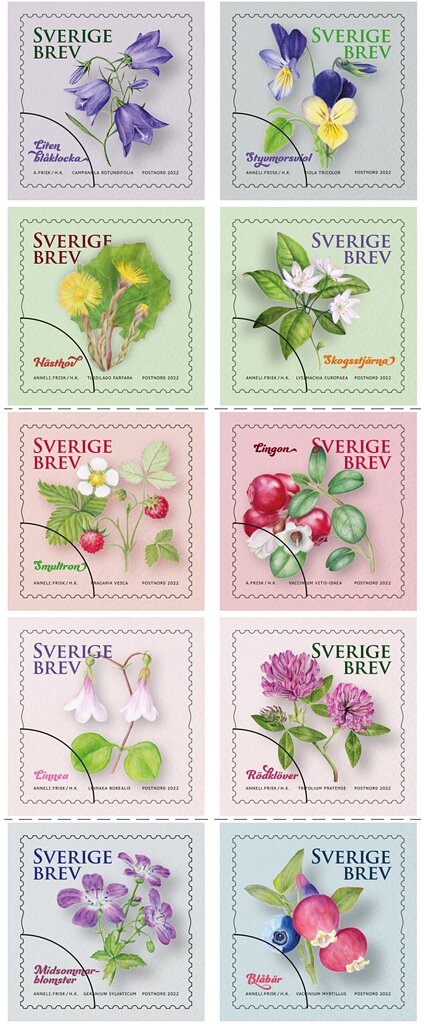 Selection of Sweden's National Flower