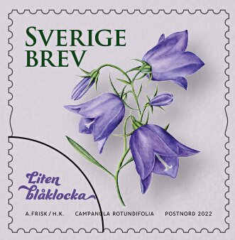 Selection of Sweden's National Flower