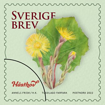 Selection of Sweden's National Flower