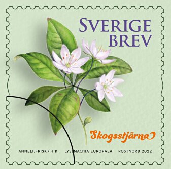 Selection of Sweden's National Flower