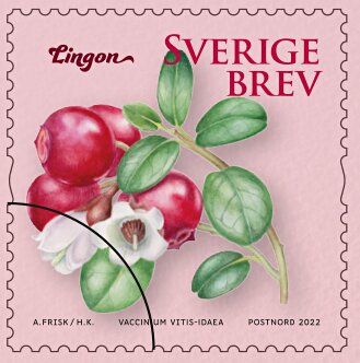 Selection of Sweden's National Flower
