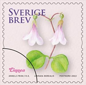 Stamp, Selection of Sweden's National Flower, Sweden,  , Flowers