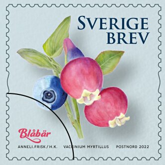 Selection of Sweden's National Flower