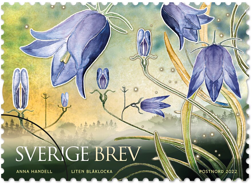 Small Bluebell, Sweden's National Flower