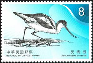 Stamp, Pied Avocet (Recurvirostra avosetta), Taiwan (Republic of China),  , Animals (Fauna), Birds