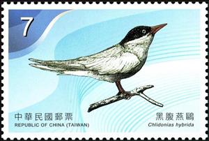 Stamp, Whiskered Tern (Chlidonias hybrida), Taiwan (Republic of China),  , Animals (Fauna), Birds