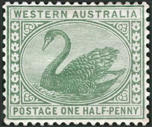 Stamp, Black Swan (Cygnus atratus), Western Australia,  , Animals (Fauna), Birds, Swans