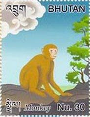 Monkey