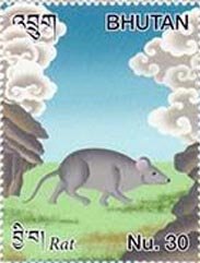 Rat