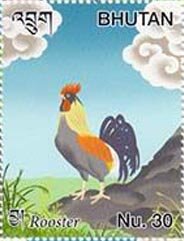 Rooster
