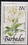Spiderlily