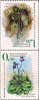 Tete-Beche, Flowers of Bosnia, Bosnia and Herzegovina, Serbian Admin,  , Plants (Flora)