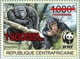 Central Chimpanzee (Pan troglodytes troglodytes)